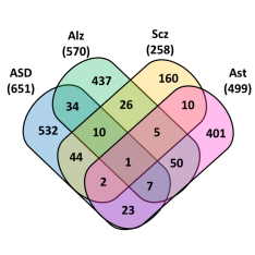 Figure S1: Venn diagram of the genes associated with autism spectrum disorder 489 (ASD)