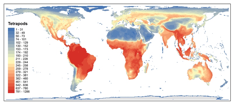 Atlas of all land vertebrates.jpg
