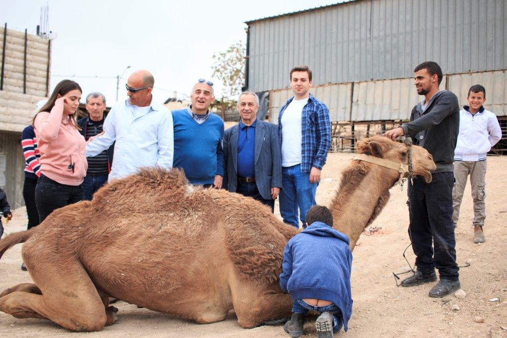CAMEL_IMG_1155 (Large).jpg