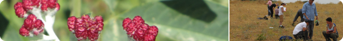 SmallBanner_02.png