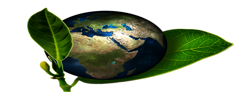earth-661447_1920.png