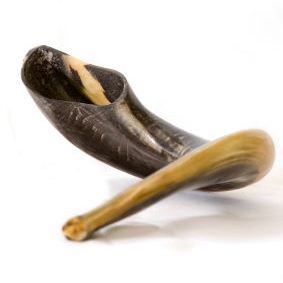 yom-kippur-shofar.jpg