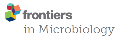 frontiers-microbiology.png