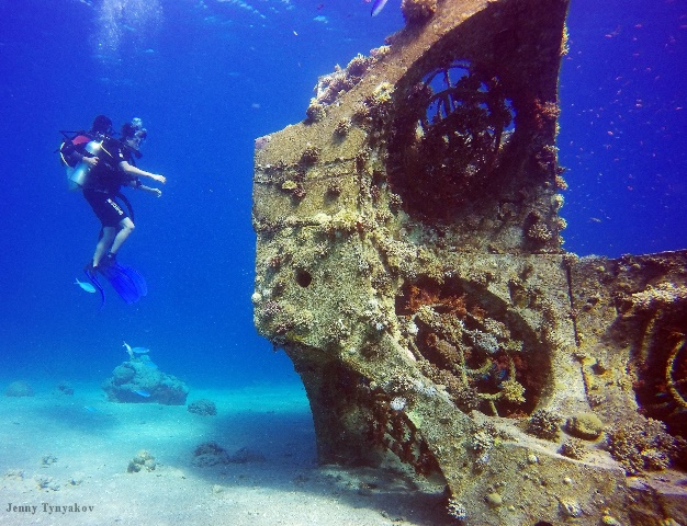 Tamar artifical coral reef Jenny Tynyakov 2.jpg