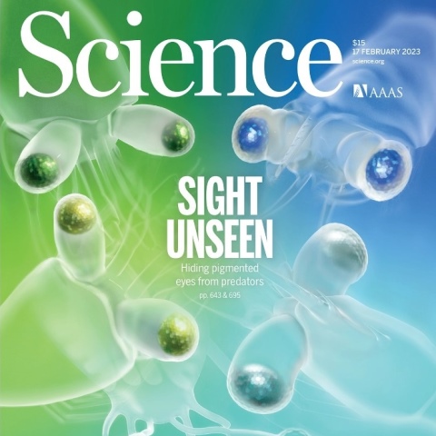Ben Palmer's cover of Science