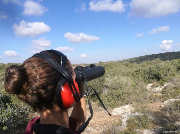 תצפית אטמי אוזניים_יעל לנרד.jpg