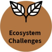 Ecosystem Challenges
