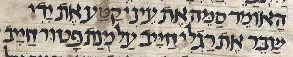 האומר.jpg