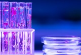 petri-dishes-test-tubes-biotechnology-laboratory.jpg