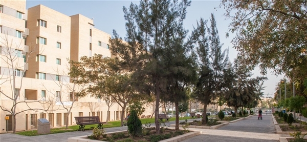 תמונה של מעונות הסטודנטים של אוניברסיטת בן גוריון