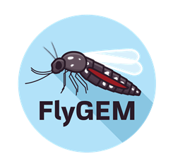 FlyGem Logo.