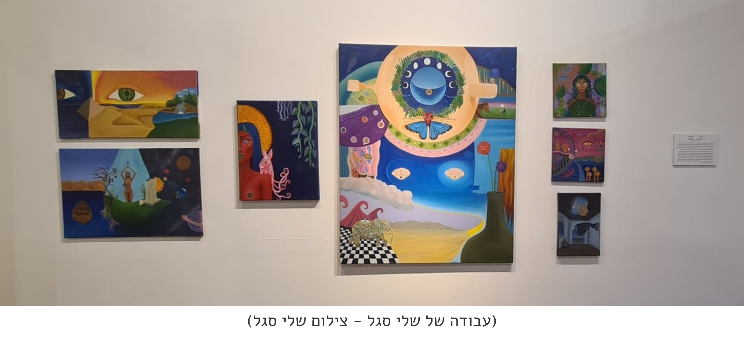 עבודה של שלי סגל - צילום שלי סגל.png