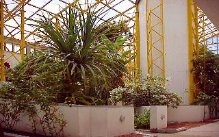 bic-courtyard small.jpg