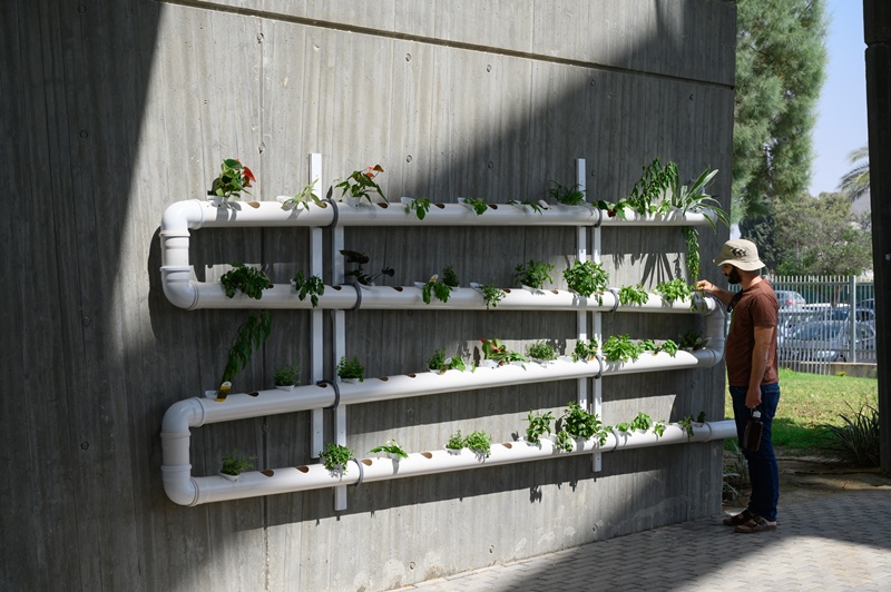 הגינה ההידרופונית ממוקמת בקיר החיצוני של בניין חוסידמן ותשמש כגינת חקר בימי המדע לבני הנוער במרכז 