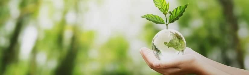 hand-holding-glass-globe-ball-with-tree-growing-green-nature-blur-background2.jpg