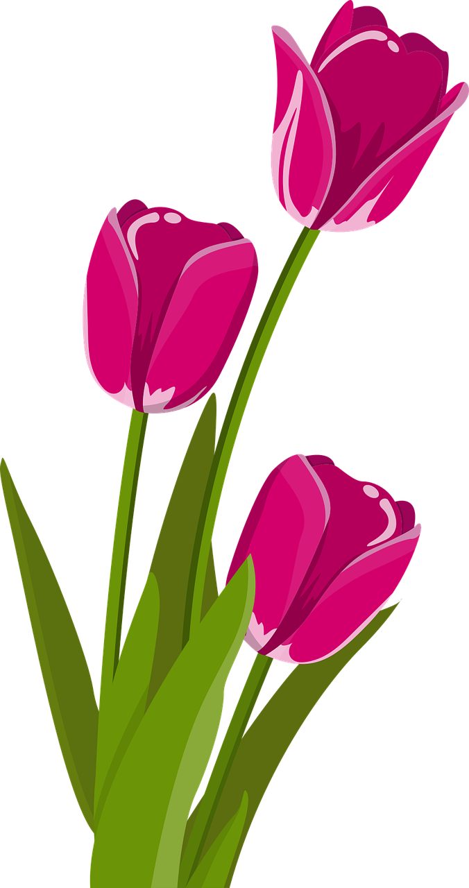 flower-2923492_1280.png